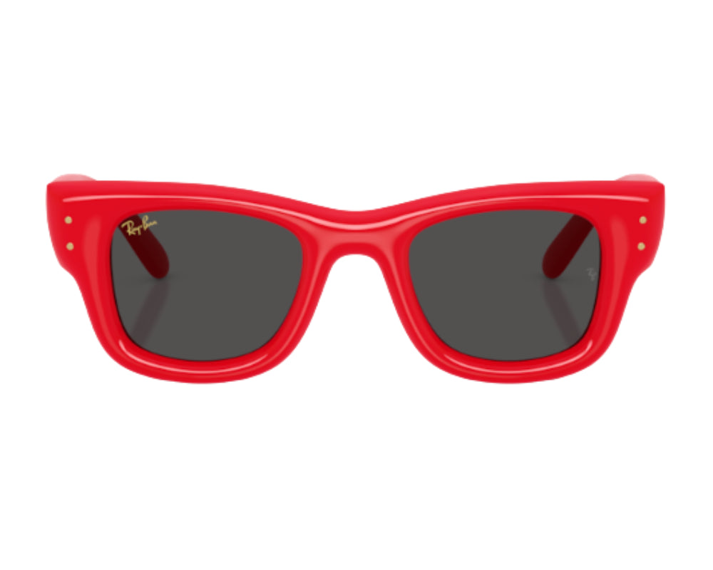 Gafas de sol Ray Ban Wayfarer puffer RB4940
