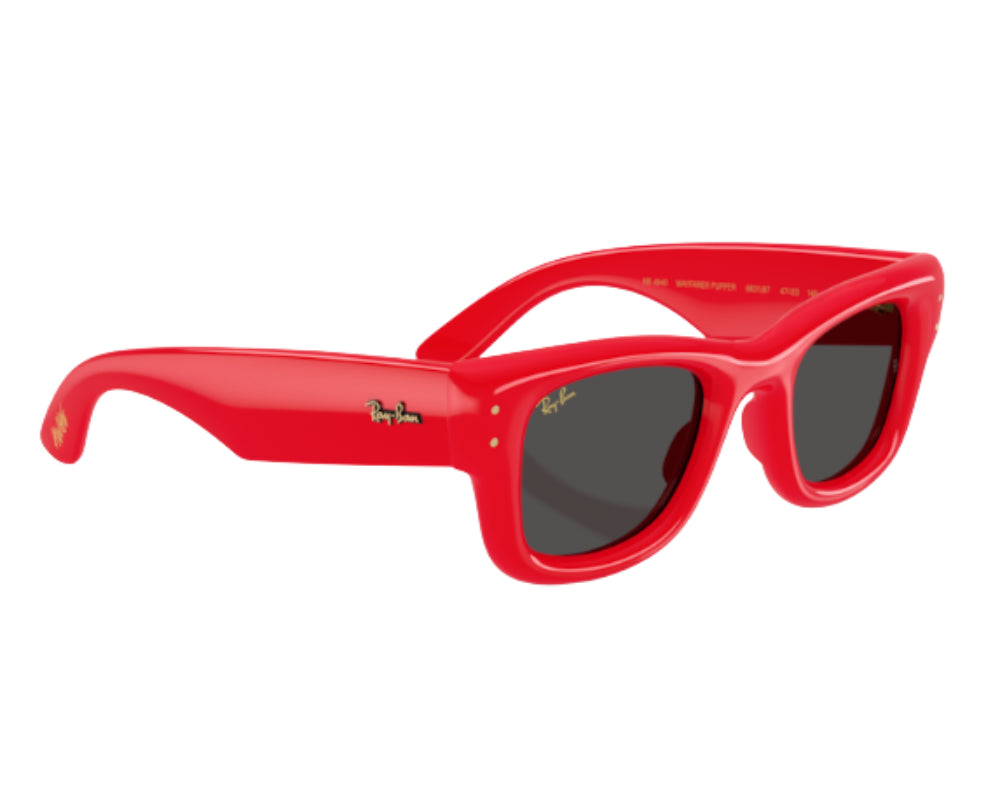 Gafas de sol Ray Ban Wayfarer puffer RB4940