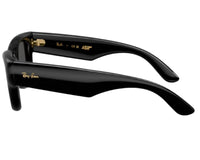 Gafas de sol Ray Ban Wayfarer puffer RB4940