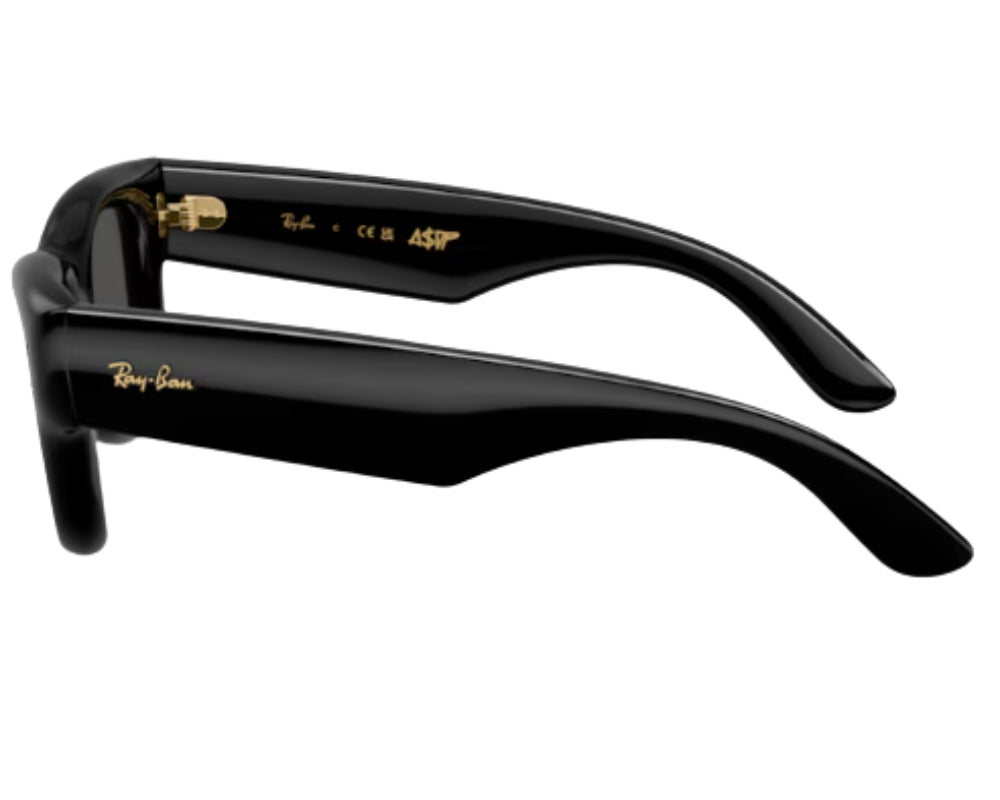 Gafas de sol Ray Ban Wayfarer puffer RB4940