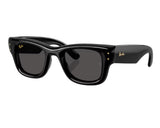 Gafas de sol Ray Ban Wayfarer puffer RB4940