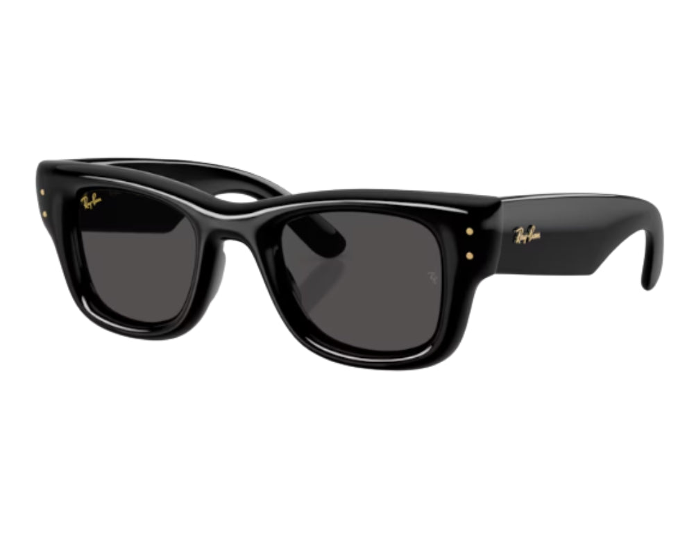 Gafas de sol Ray Ban Wayfarer puffer RB4940