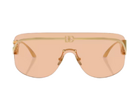 Gafas de sol Dolce Gabbana DG2320