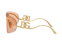 Gafas de sol Dolce Gabbana DG2320