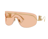Gafas de sol Dolce Gabbana DG2320
