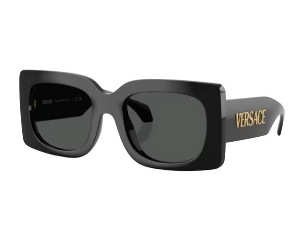 Versace VE4496U Sunglasses