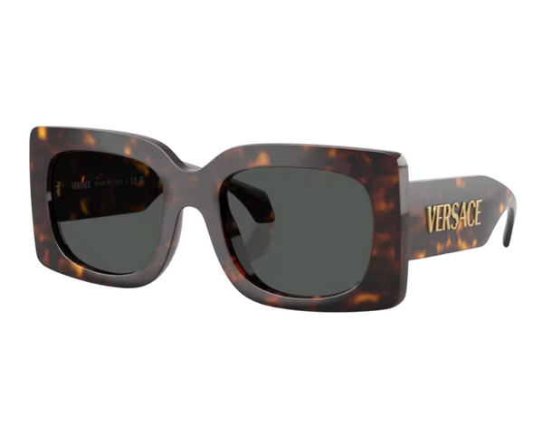Versace VE4496U Sunglasses