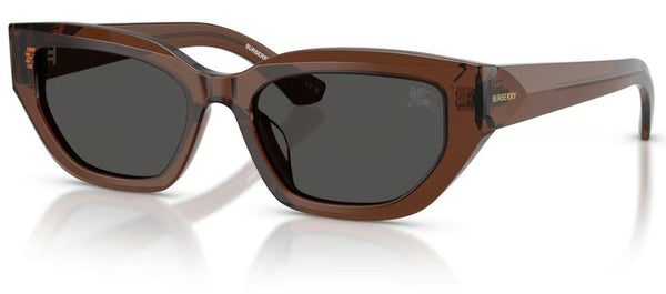 Lunettes de Soleil Burberry BE4463D