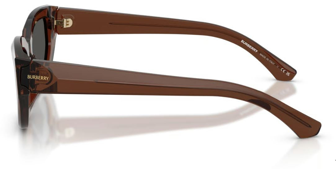 Óculos de Sol Burberry BE4463D
