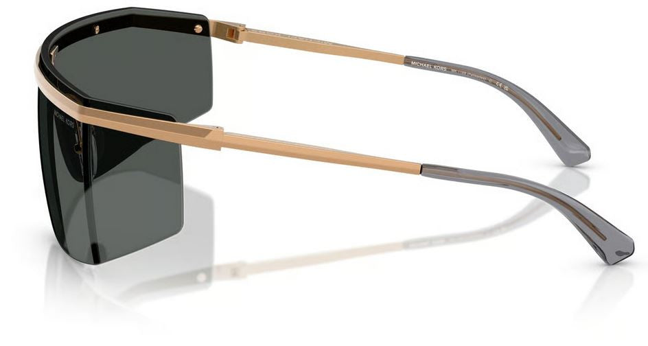 Óculos de sol Michael Kors Palisades MK1169