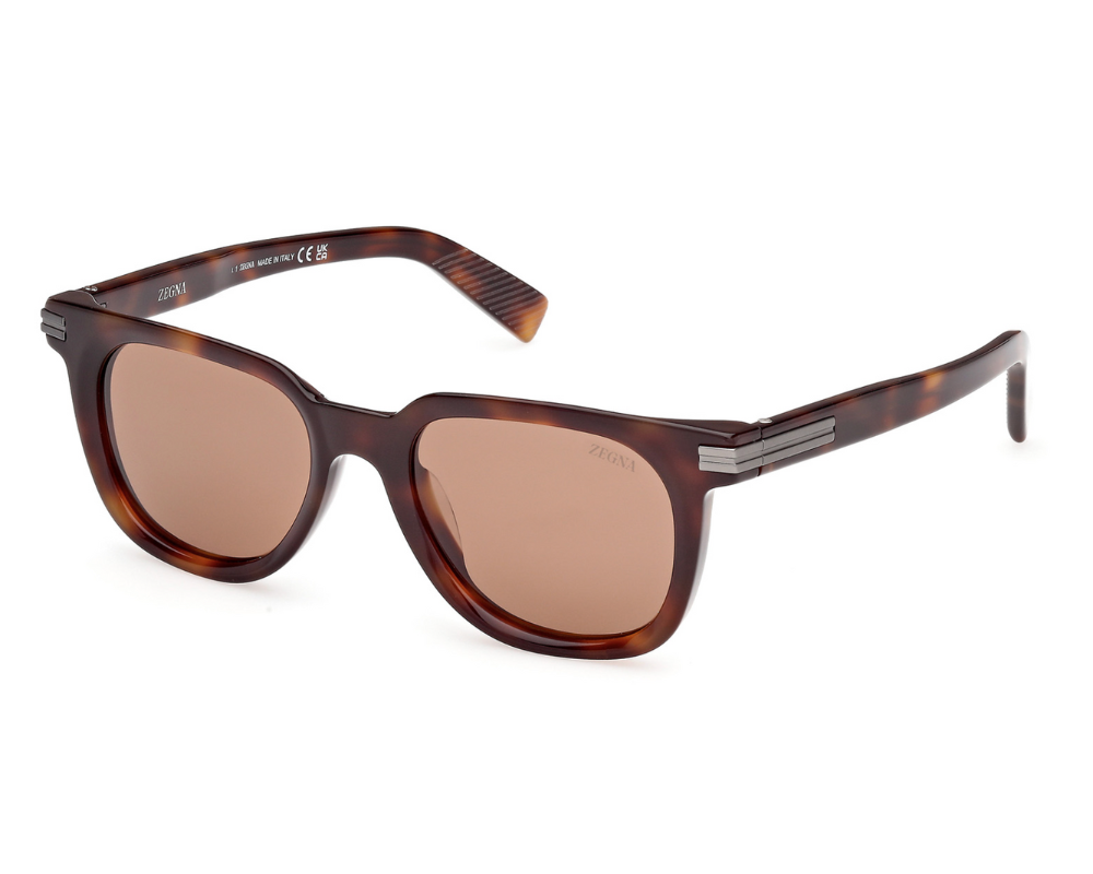 Gafas de sol Ermenegildo Zegna EZ0248