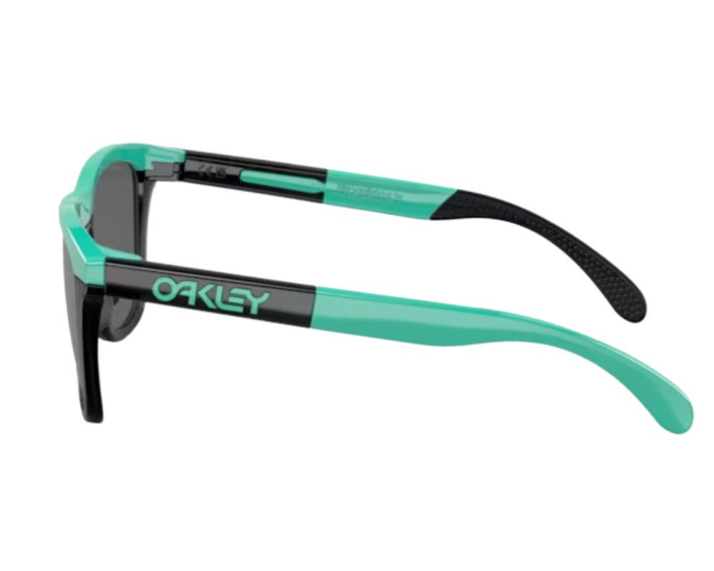 Óculos de Sol Oakley Frogskins Range OO9284