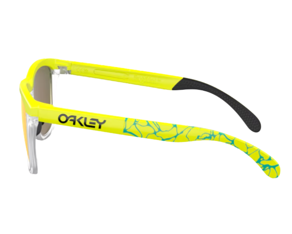 Óculos de Sol Oakley Frogskins Range OO9284