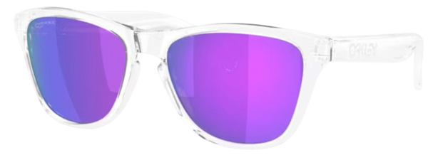 Gafas de Sol Oakley Frogskins S OO9508
