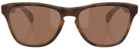 Óculos de Sol Oakley Frogskins S OO9508
