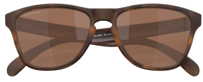 Óculos de Sol Oakley Frogskins S OO9508