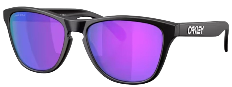 Óculos de Sol Oakley Frogskins S OO9508