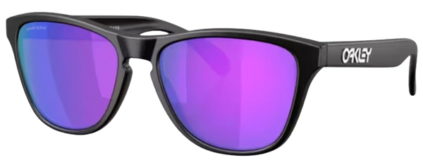 Gafas de Sol Oakley Frogskins S OO9508