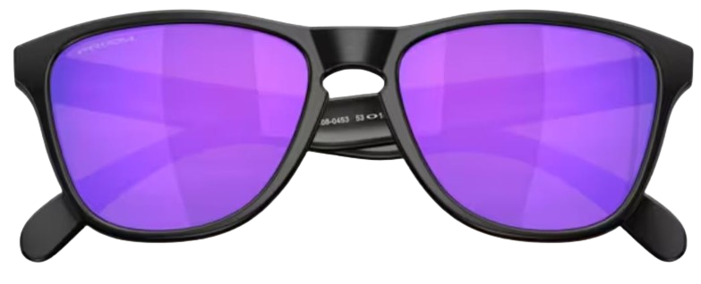 Óculos de Sol Oakley Frogskins S OO9508