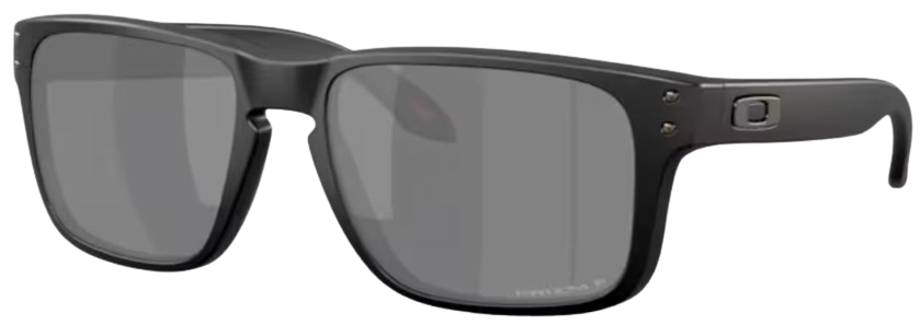 Occhiali da sole Oakley Holbrook S OO9509