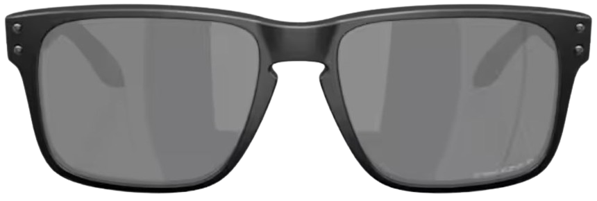 Occhiali da sole Oakley Holbrook S OO9509