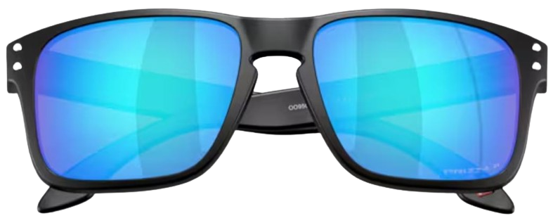 Occhiali da sole Oakley Holbrook S OO9509