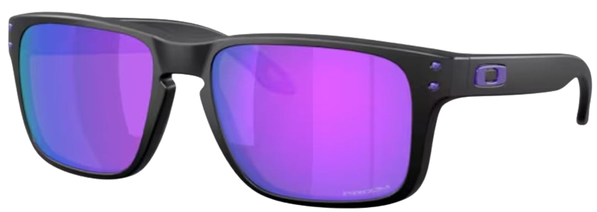 Occhiali da sole Oakley Holbrook S OO9509
