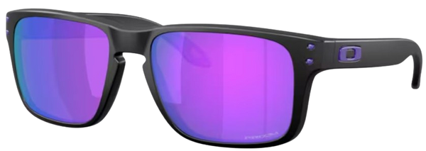 Gafas de Sol Oakley Holbrook S OO9509