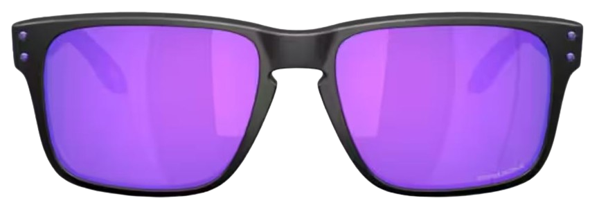 Occhiali da sole Oakley Holbrook S OO9509