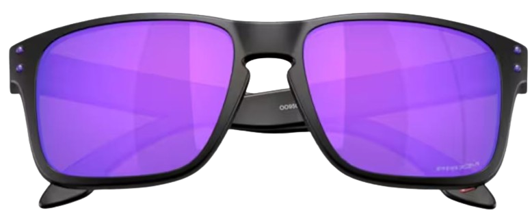 Occhiali da sole Oakley Holbrook S OO9509