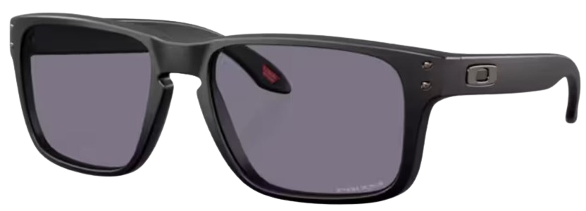 Occhiali da sole Oakley Holbrook S OO9509