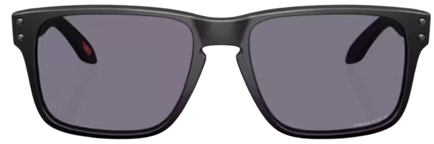 Occhiali da sole Oakley Holbrook S OO9509