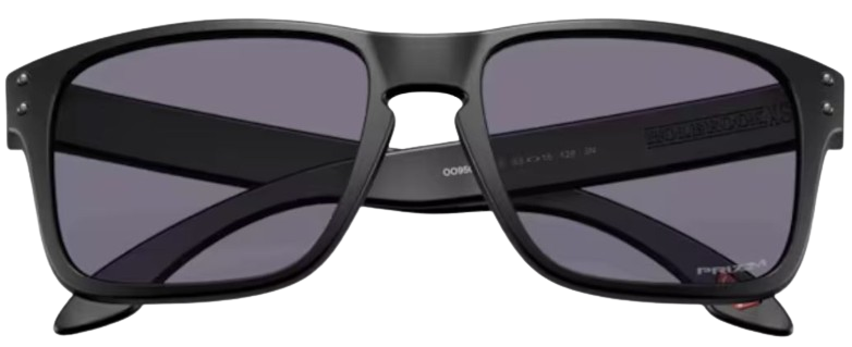 Occhiali da sole Oakley Holbrook S OO9509