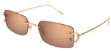 Gafas de Sol Cartier Piccadilly CT0605S