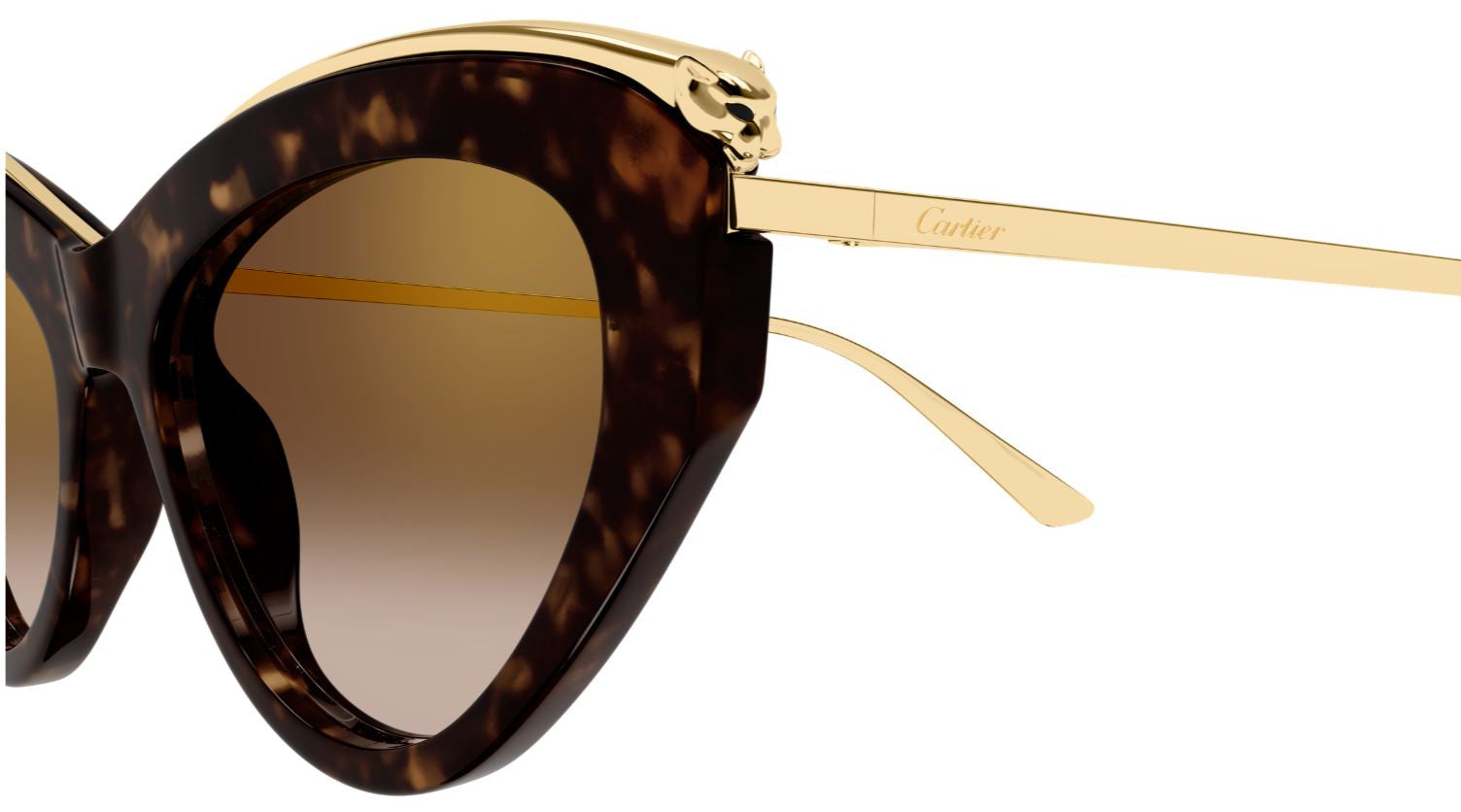 Óculos de sol Cartier Panthère CT0596S