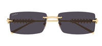 Óculos de Sol Cartier Clash CT0604S