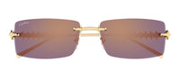 Óculos de Sol Cartier Clash CT0604S