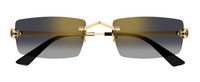 Óculos de Sol Cartier Panthère CT0598S