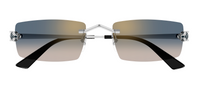 Óculos de Sol Cartier Panthère CT0598S