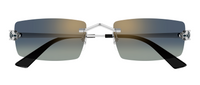 Óculos de Sol Cartier Panthère CT0598S