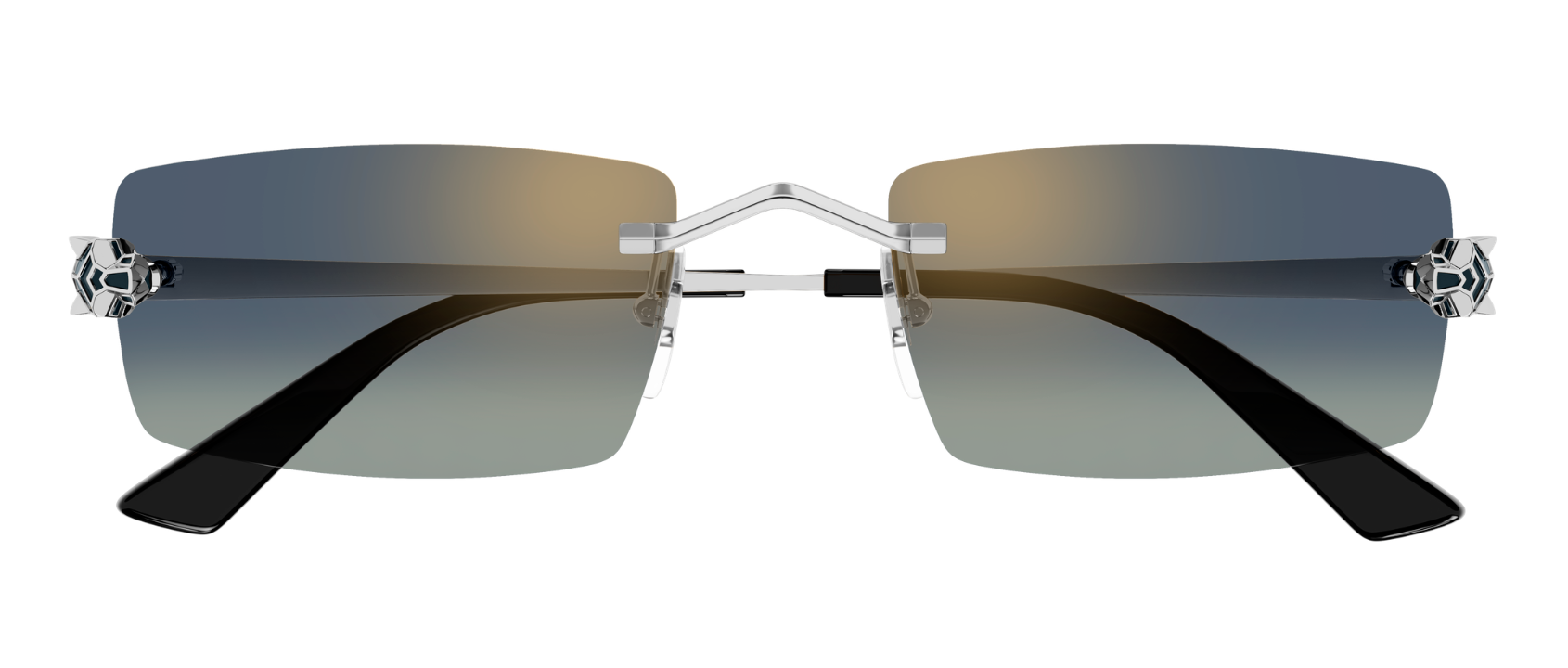 Óculos de Sol Cartier Panthère CT0598S