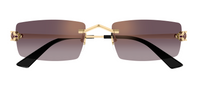 Óculos de Sol Cartier Panthère CT0598S