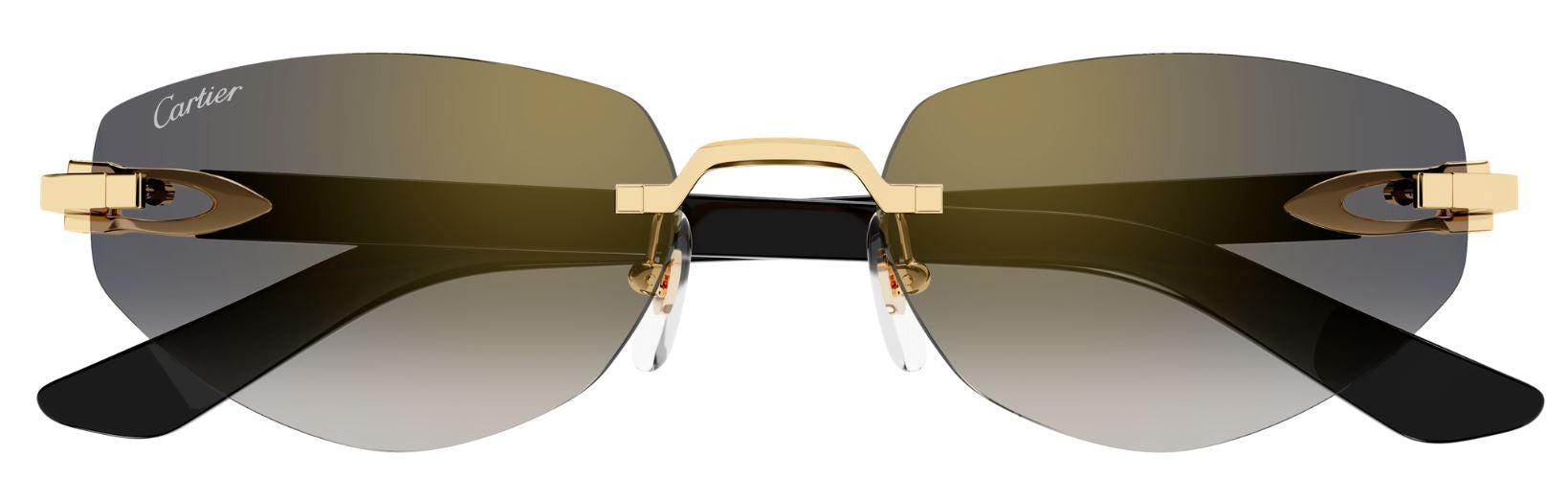 Óculos de sol Cartier Décor C CT0580S
