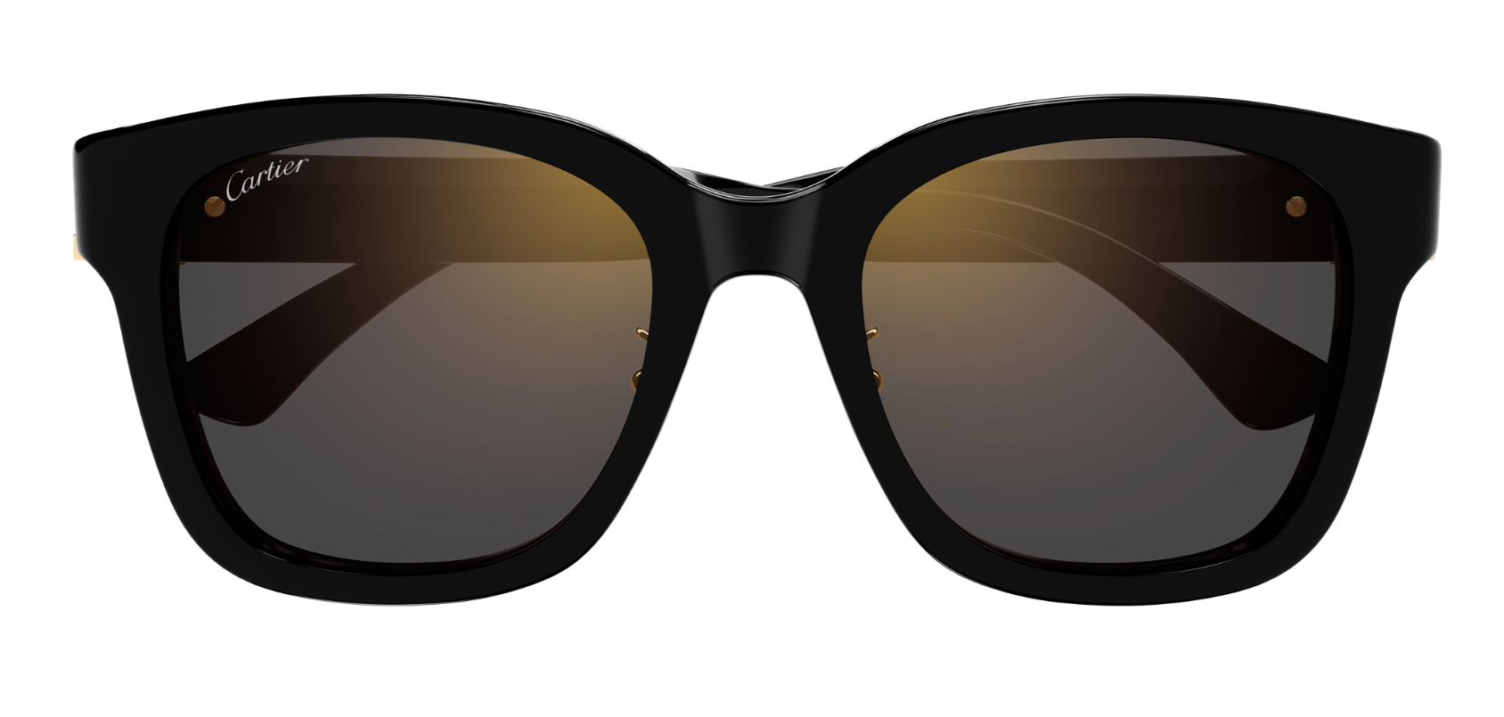 Óculos de Sol Cartier Signature C CT0589SA