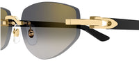 Óculos de sol Cartier Décor C CT0580S