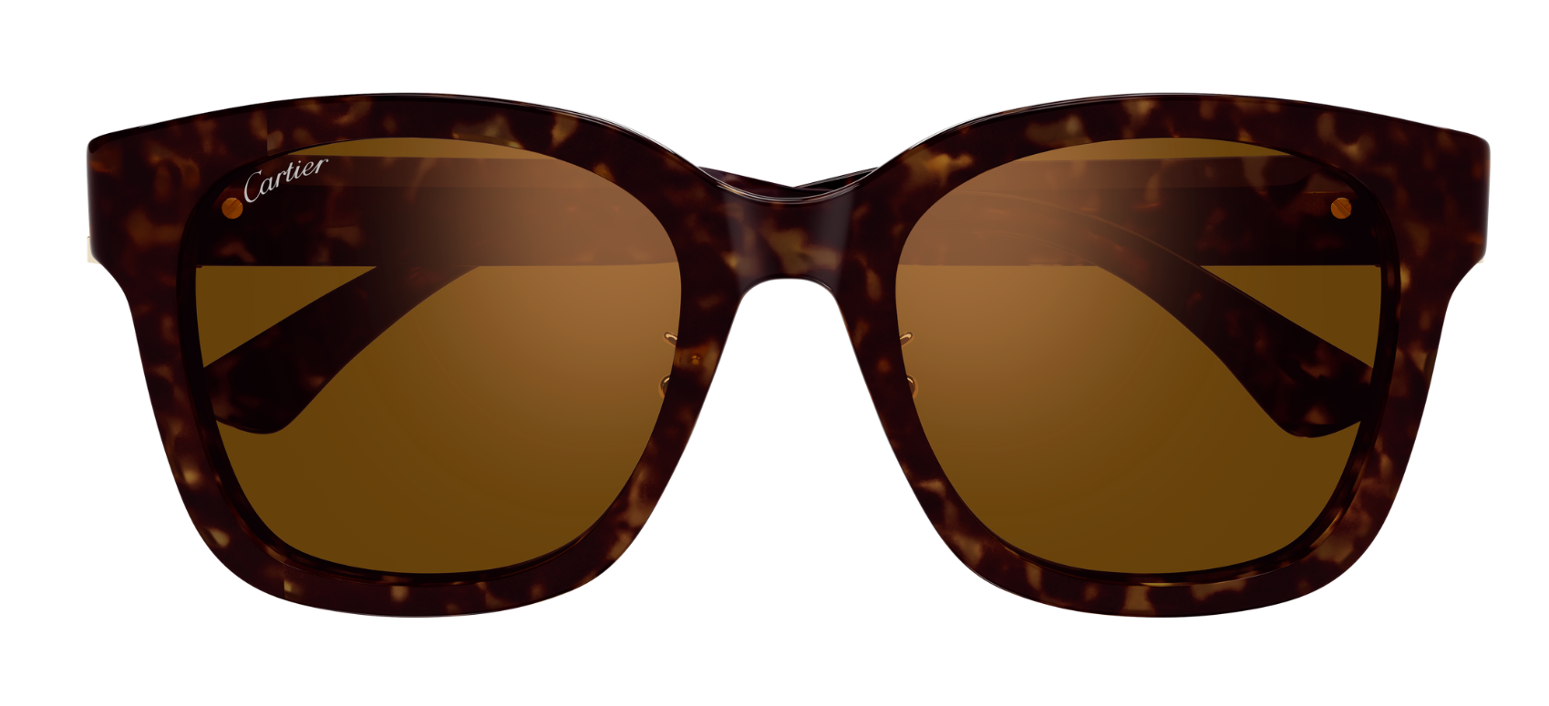 Óculos de Sol Cartier Signature C CT0589SA