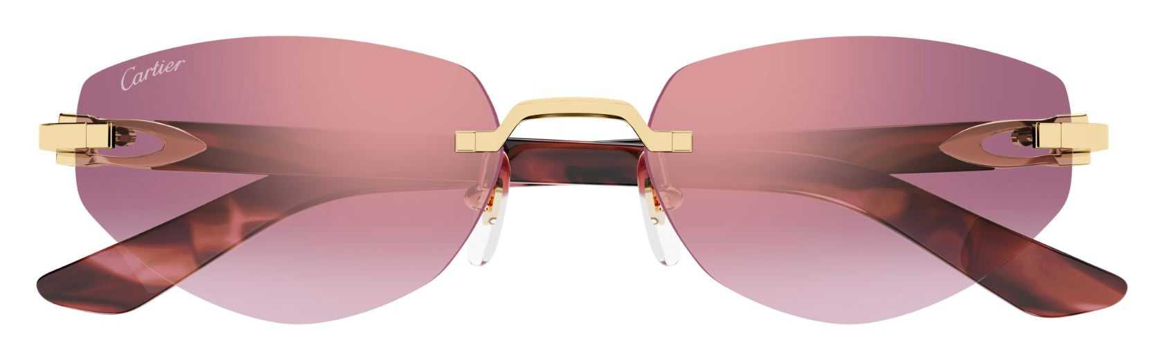Óculos de sol Cartier Décor C CT0580S