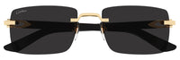 Óculos de Sol Cartier Décor C CT0579S