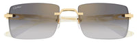 Óculos de Sol Cartier Décor C CT0579S