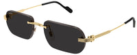 Gafas de sol Cartier Première CT0577S
